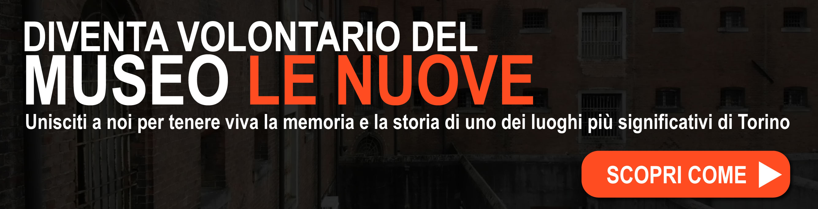 Diventa volontario